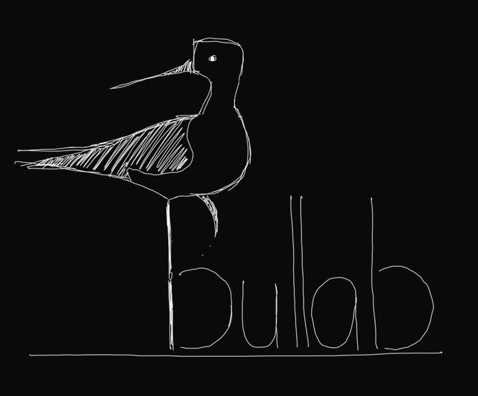 BullaB_logo_black.png