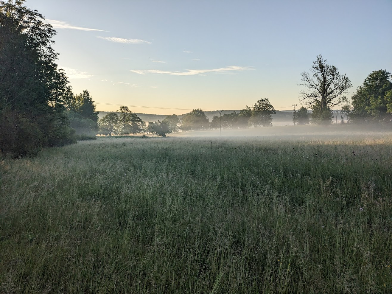 During sunrise
